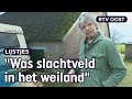 Vloek of een zegen? 4x de wolf in Overijssel | RTV Oost