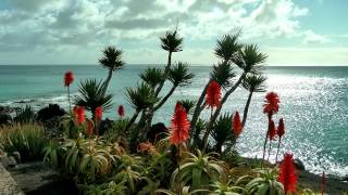 SPAIN Puerto del Carmen, Lanzarote (hd-video)