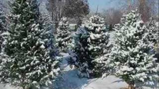 Christmas In Fennville - Lynyrd Skynyrd - Hallelujah, It&#39;s Christmas