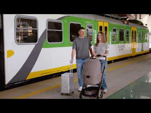 Коляска универсальная CARRELLO Magia CRL-6555 (2in1) cocoa beige /1/