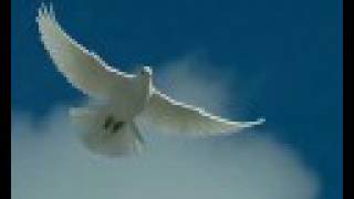 Группа Scorpions (Скорпионс) - White Dove
