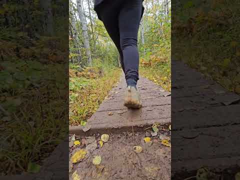 Ua raws li koj - Kassie Chang - original David Yang