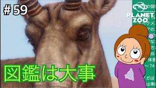 個体数についてやっと気づいたこと《プラネットズー/初見》女性実況 #59