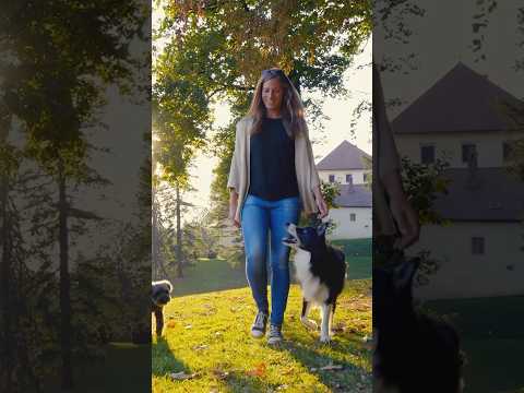 Park - by AShamaluevMusic | Free Use In Short Videos