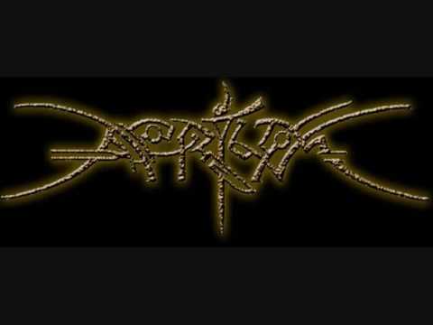 The Aerium -Silver Bullet