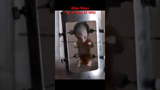 Download lagu Alien Fetus - The X-Files 1993 👽 #shorts #90s #thexfiles #aliens mp3
