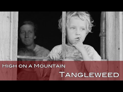 High on a Mountain - Tangleweed