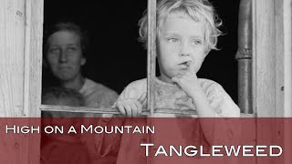 High on a Mountain - Tangleweed