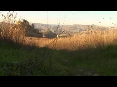 Pietraperzia vista dietro castello sentiero cardi