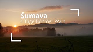 Šumava