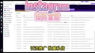 INS矩阵获客系统 一人管理1000个账号 引流推广 批量私信截流同行 海量获客 三步搞定海量客户 省心省时省力