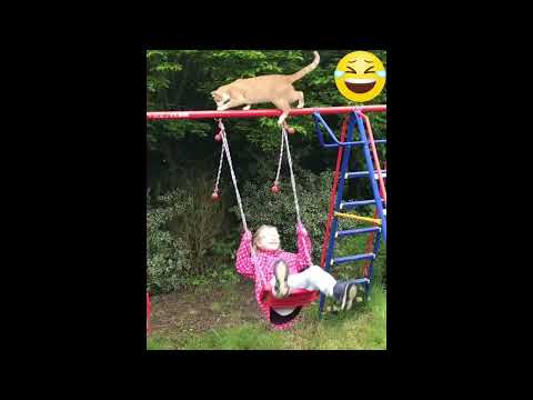 The girl fell while swinging 😱😁😽 #shorts #cat #funny