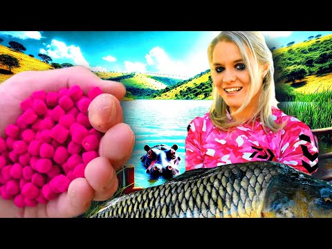 Big Carp Fishing Tips & Baits South Africa - Rietvlei Dam