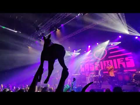 Tanssiorkesteri Lossimies - Rasputin | Zacieralia 2025 | 11.01.2025 Poland | 4K