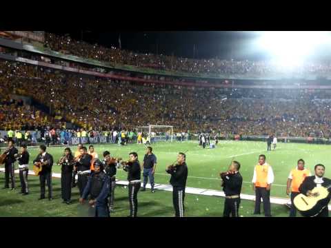 "Tigres vs Internacional  libres y lokos" Barra: Libres y Lokos • Club: Tigres • País: México