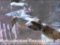 Головушка - Игорь Малыгин (Ярославль) 