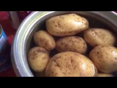 Recette Catless au thon