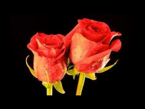 download lagu mp3 mp4 Musique Poetique, download lagu Musique Poetique gratis, unduh video klip Musique Poetique