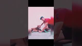 Download lagu DOG LOVER #shorts mp3