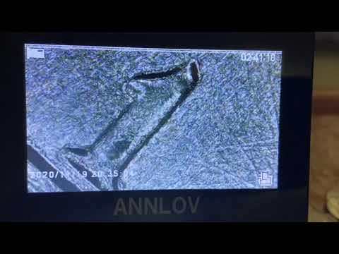 1968 D Kennedy half dollar Double dye found what do you think