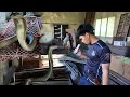 DALAWANG COBRA ANG NAKUHA SA LOOB NG BAHAY