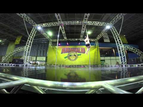 Panamerican Pole Championship 2015 - Dayane Bonatti - 2nd Runner Up (Amateur Division)