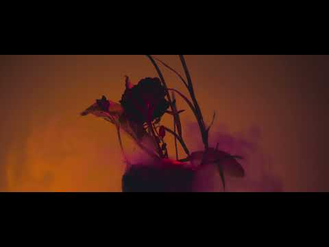 DRANQ & Pixelord - Поиск (Visualiser)