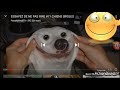 99 Impossible De Ne Pas Rire