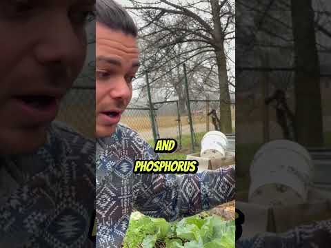 Natural Garden Boost: Compost for Thriving Plants