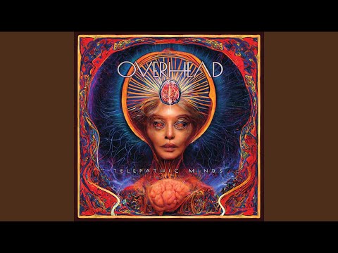 The Pilot's Not Fit to Fly