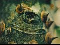 Fundacao S O S Mata Atlantica Nature Sees 2001 Brazil