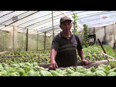 What Cuba can teach America about organic farming