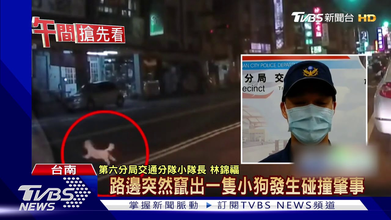 危險！「沒繫繩」狗直衝馬路　外送員閃不過輾斃