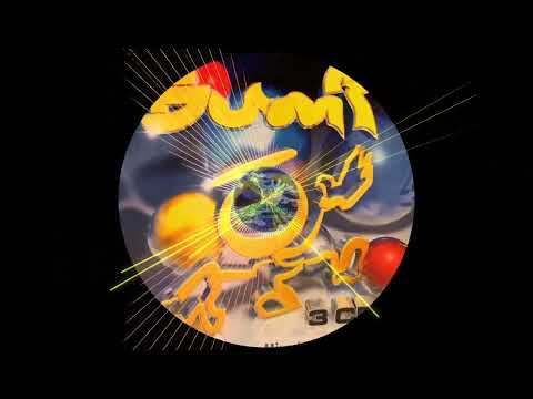 Bump Vol 26 (Cd 2) - Chris Kaeser – Who's In The House DJ Chuckie Remix