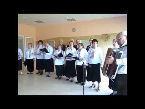 Muzikantas  Antanas  -- Jovaja --  Gandrai