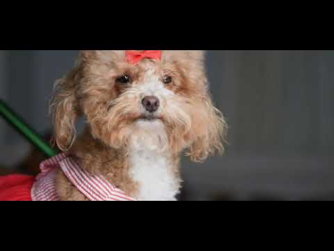 sush a sweetheart 💕