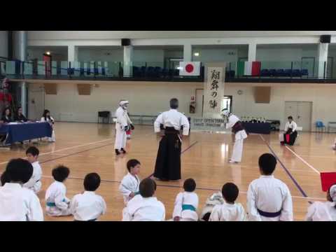 Karate shotokan vs shorin-ryu final match #karate #blackbelt #martialarts #shorinryu #shotokan#final