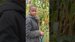 MAPUMZIKO MAFUPI #bintiyangu #bintiyangu #funny #journalistcamp #journalistcamp #comedyfilms #comedy