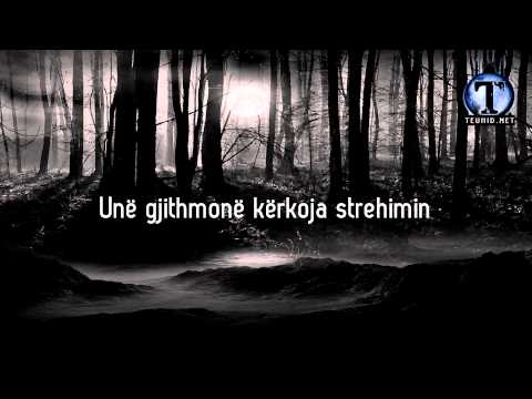 Drita e udhëzimit | ILAHI ME TITRA