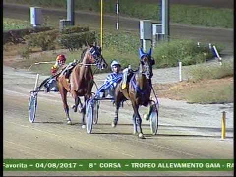 8^ CORSA Premio RACE OFF Trofeo  A.GAIA  E. 3.190 INVITO  Mt.1600