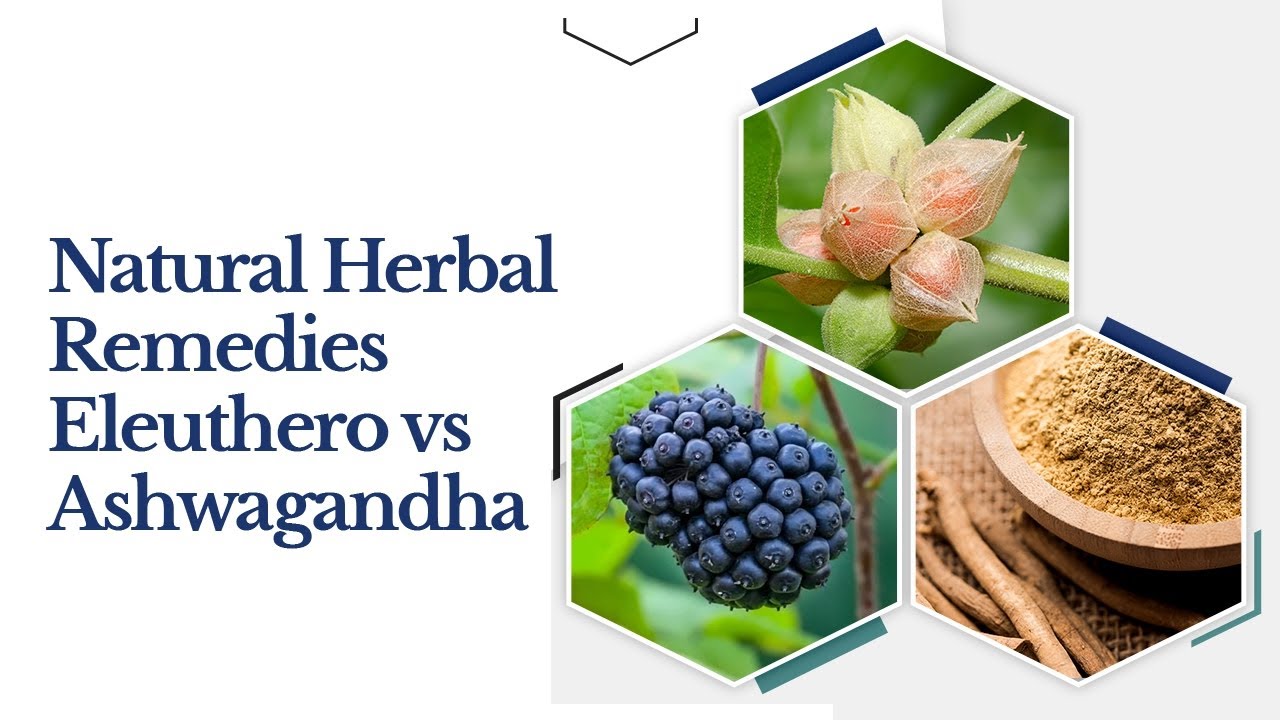 Eleuthero vs. Ashwagandha: Natural Remedies for Stress and Better Sleep