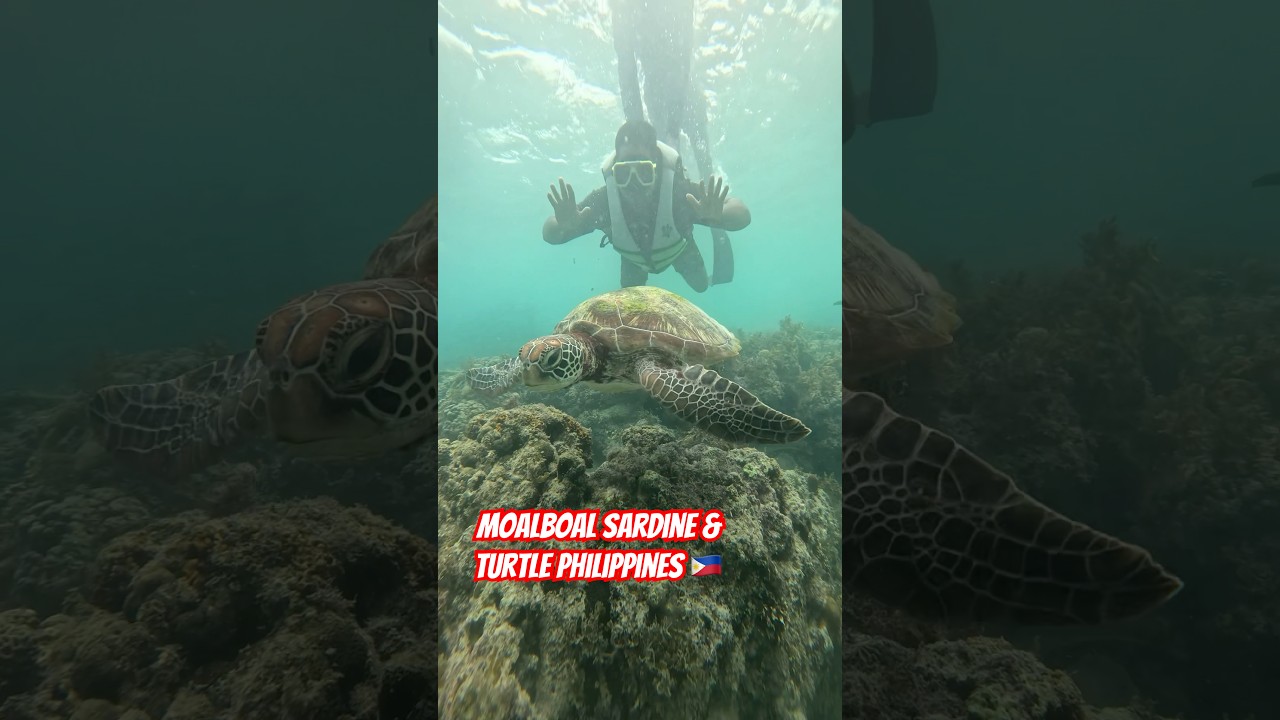 YouTube Short thumbnail