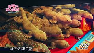 閨蜜的奇幻旅程_花絮