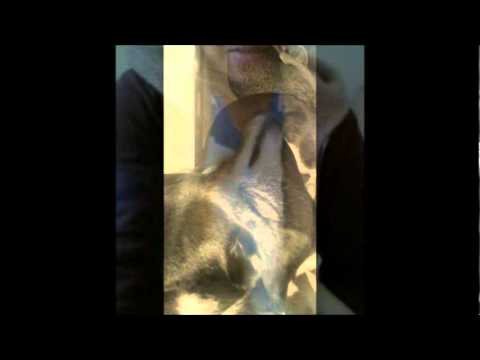 my  interestings,,,,,,,,,,dogzzzzzzzzzzzzzzzzzzzzz kiss kiss