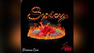Princess Cece x Matrix