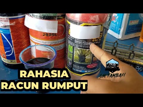 Cara Memilih Racun rumput yang Benar @tambahsudadi1752