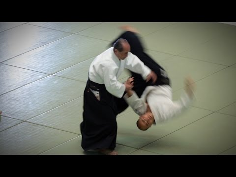 Aikikai Aikido - Tada Hiroshi Shihan - 54th All Japan Aikido Demonstration (2016)