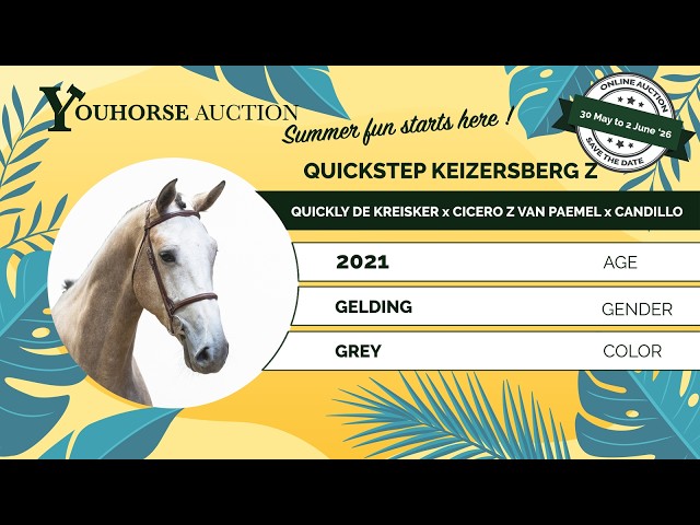 Quickstep Keizersberg Z