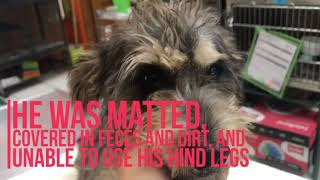 Believe in Miracles this Holiday Season