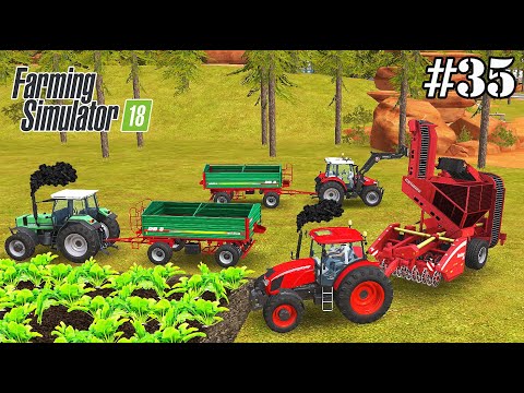 FS 18. Timelapse # 35. Sugar beet harvest in a large field